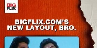 BIGFLIX - New UI