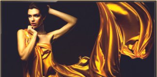 Intex Technologies_Gold TV