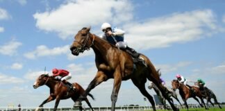 Royal Ascot Racing