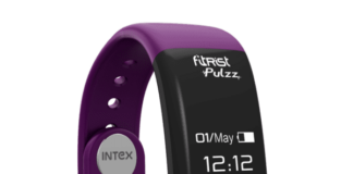 intex fitRist Pulzz order