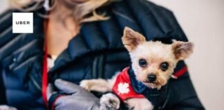 Uber Celebrates 4 years in New Delhi, Organises UberPUPPIES