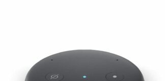Amazon Echo Input