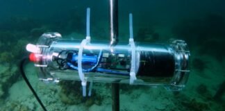 Accenture, Intel and the Sulubaaï Environmental Foundation are using Using Artificial Intelligence to Save Coral Reefs