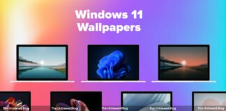 Windows 11 Wallpapers